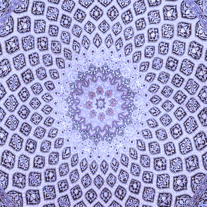 Medallion Blue Traditional Rug, tr3157blu