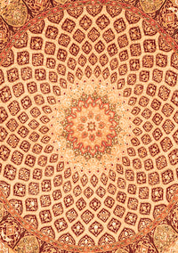 Medallion Orange Traditional Rug, tr3157org