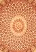 Medallion Orange Traditional Rug, tr3157org