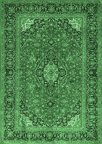 Persian Emerald Green Traditional Rug, tr3159emgrn