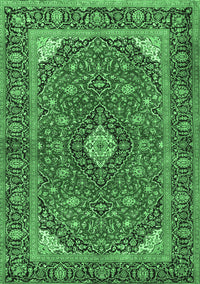 Persian Emerald Green Traditional Rug, tr3160emgrn