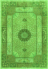 Persian Green Traditional Rug, tr3165grn