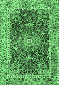 Medallion Emerald Green Traditional Rug, tr3170emgrn