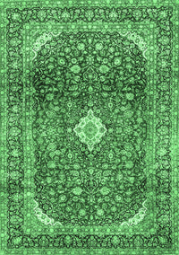 Persian Emerald Green Traditional Rug, tr3176emgrn