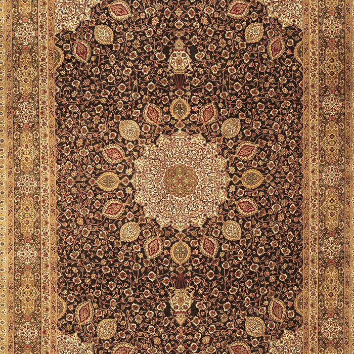 Machine Washable Persian Brown Traditional Rug, wshtr3180brn