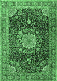 Persian Emerald Green Traditional Rug, tr3180emgrn