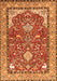 Serging Thickness of Machine Washable Animal Orange Traditional Area Rugs, wshtr3183org