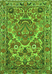 Persian Green Traditional Rug, tr3187grn