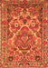 Serging Thickness of Machine Washable Persian Orange Traditional Area Rugs, wshtr3187org