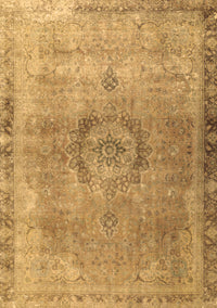 Persian Brown Traditional Rug, tr3192brn