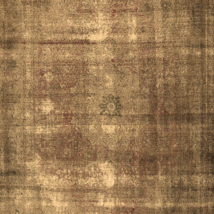 Machine Washable Persian Brown Traditional Rug, wshtr3195brn