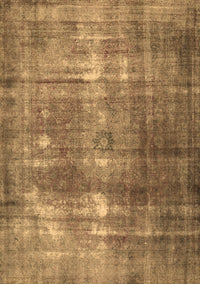 Persian Brown Traditional Rug, tr3195brn