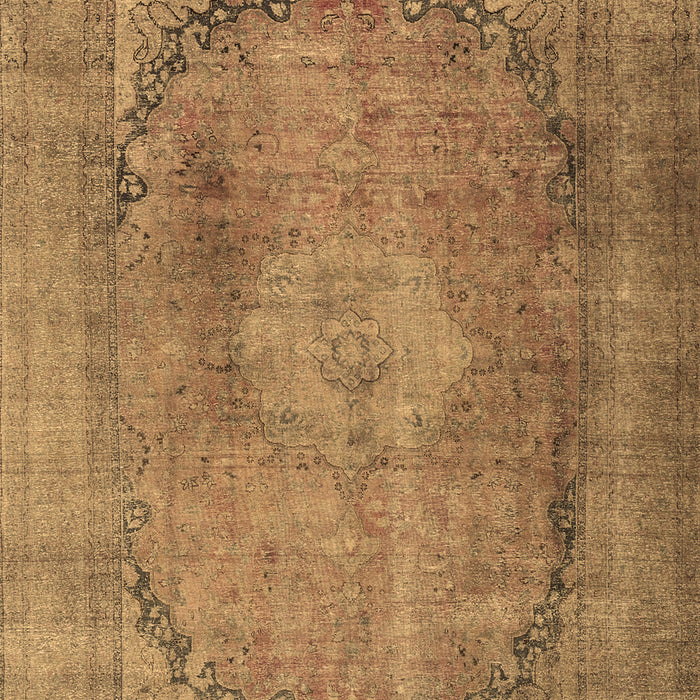 Persian Brown Traditional Rug, tr3196brn