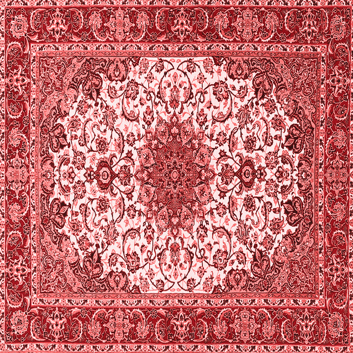 Persian Red Traditional Rug, tr3197red