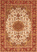 Serging Thickness of Machine Washable Persian Orange Traditional Area Rugs, wshtr3197org