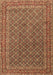 Machine Washable Persian Brown Traditional Rug, wshtr3200brn