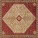 Square Persian Brown Traditional Rug, tr3201brn