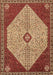 Persian Brown Traditional Rug, tr3201brn
