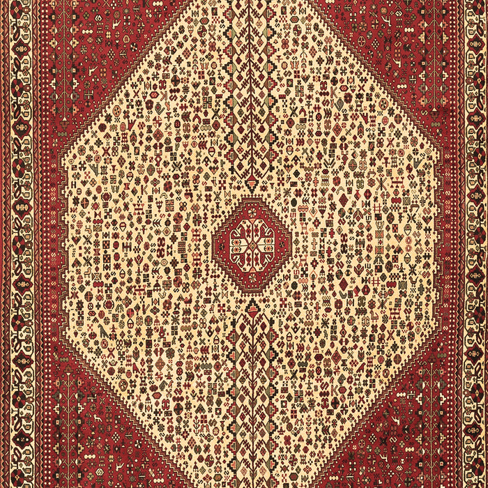 Persian Brown Traditional Rug, tr3201brn