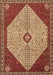 Machine Washable Persian Brown Traditional Rug, wshtr3201brn