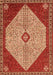 Persian Orange Traditional Rug, tr3201org
