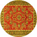 Round Persian Yellow Traditional Rug, tr3202yw