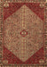 Machine Washable Persian Brown Traditional Rug, wshtr3203brn