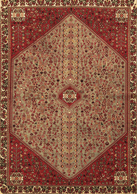 Persian Brown Traditional Rug, tr3203brn