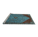 Sideview of Machine Washable Persian Light Blue Traditional Rug, wshtr3203lblu