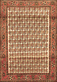 Persian Brown Traditional Rug, tr320brn