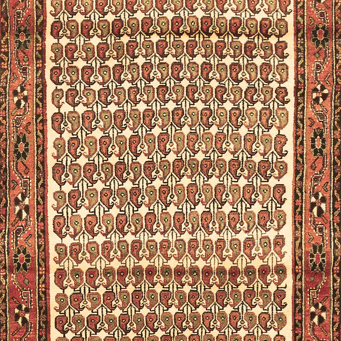 Persian Brown Traditional Rug, tr320brn