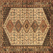 Square Persian Brown Traditional Rug, tr3211brn