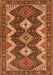 Persian Orange Traditional Rug, tr3214org
