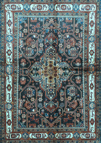 Persian Light Blue Traditional Rug, tr321lblu