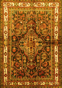 Persian Yellow Traditional Rug, tr321yw