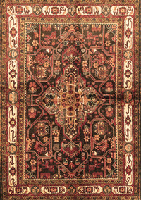 Persian Brown Traditional Rug, tr321brn