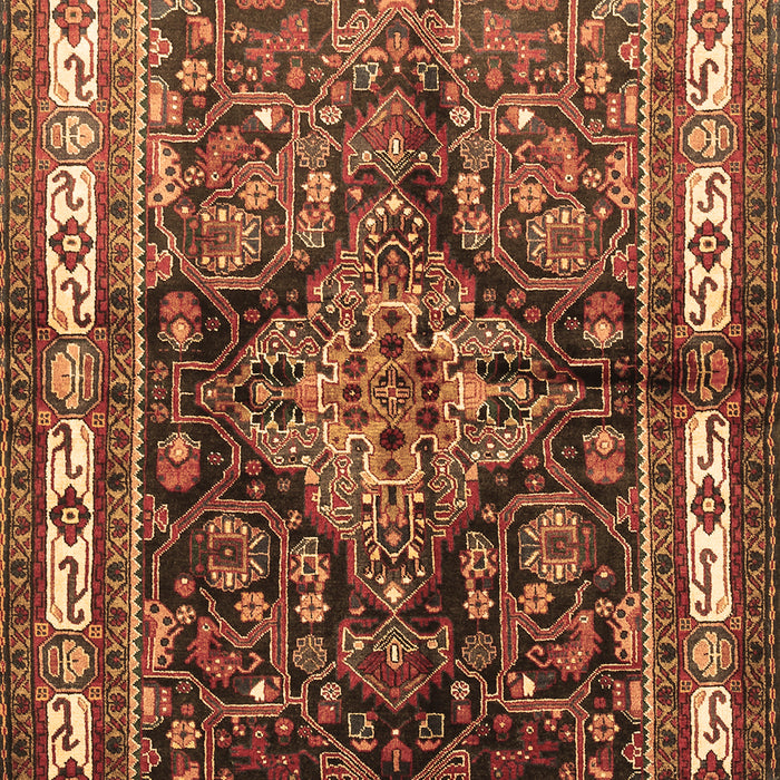 Persian Brown Traditional Rug, tr321brn