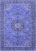 Medallion Blue Traditional Rug, tr3221blu