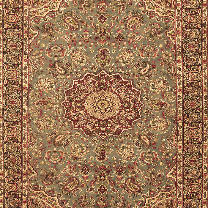 Medallion Brown Traditional Rug, tr3221brn