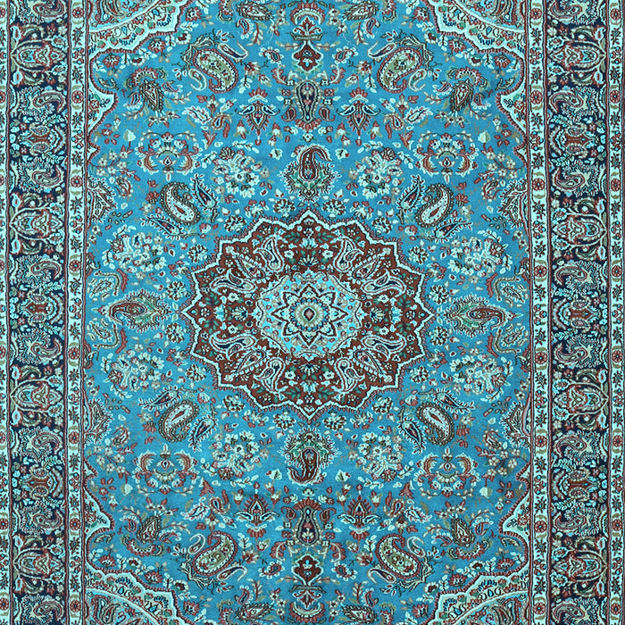 Medallion Light Blue Traditional Rug, tr3221lblu