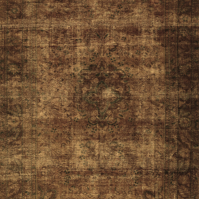 Machine Washable Persian Brown Traditional Rug, wshtr3223brn