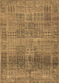 Persian Brown Traditional Rug, tr3224brn