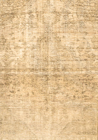 Persian Brown Traditional Rug, tr3229brn