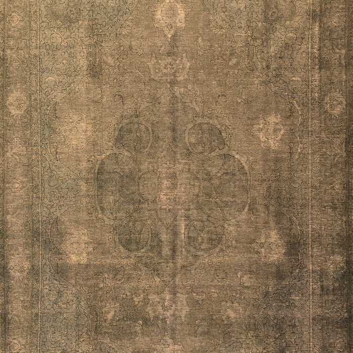 Persian Brown Traditional Rug, tr3233brn