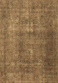 Persian Brown Traditional Rug, tr3234brn