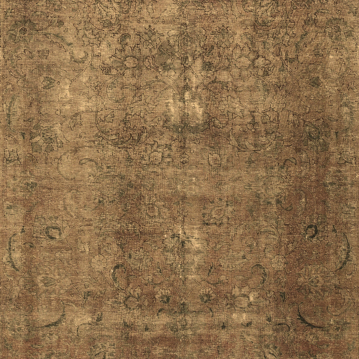 Persian Brown Traditional Rug, tr3234brn