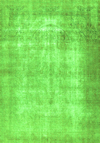 Persian Green Traditional Rug, tr3235grn