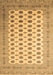 Machine Washable Southwestern Brown Country Rug, wshtr323brn