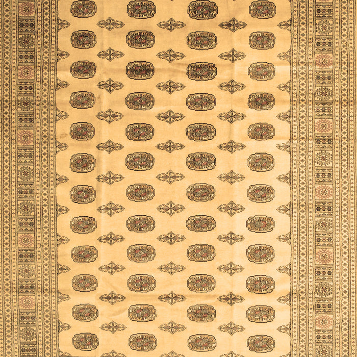 Southwestern Brown Country Rug, tr323brn