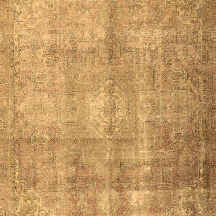 Persian Brown Traditional Rug, tr3245brn